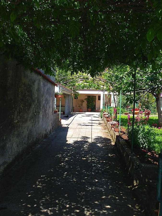 App Milija Daire Rovinj